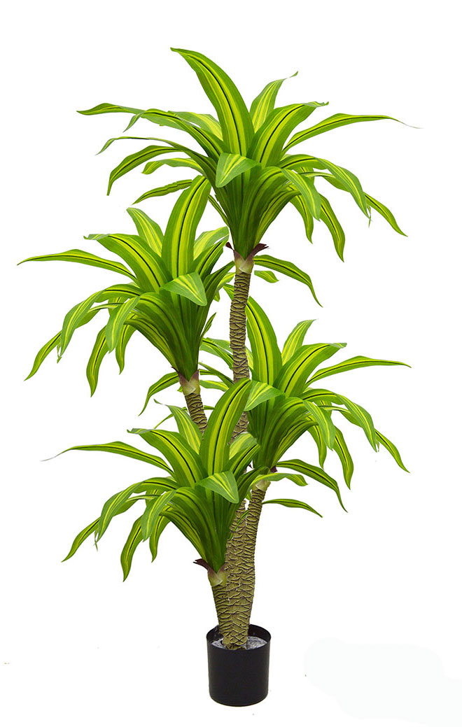 Happy Plant 1.5m double