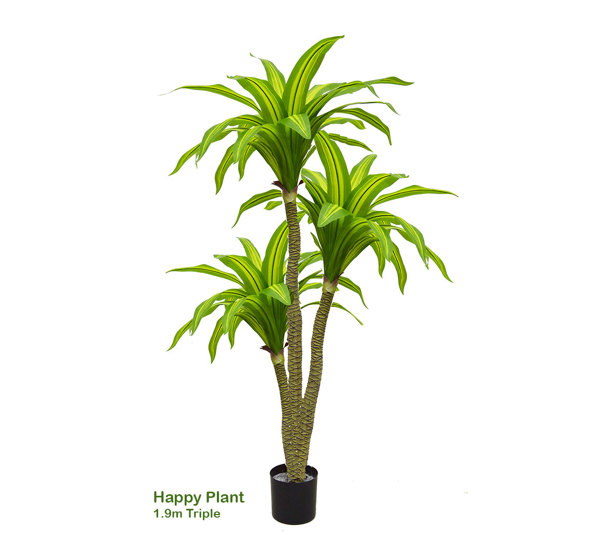 Happy Plant 1.9m triple