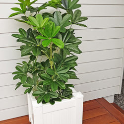 Mini-Umbrella Plant 1.2m - artificial plants, flowers & trees - image 3