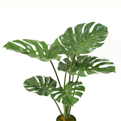 Monstera 'giant-leaf' 90cm - artificial plants, flowers & trees - image 2