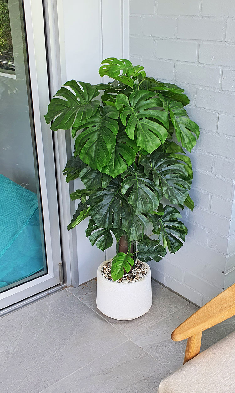 Monsterio UV-treated 1.5m