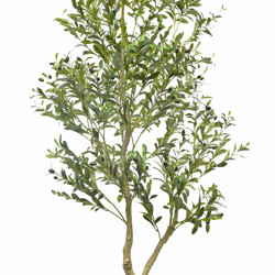 Olive Tree- 2.1m narrow - artificial plants, flowers & trees - image 1