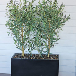 Trough Planters- with Olive Trees 1.4m tall - artificial plants, flowers & trees - image 2