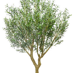 Giant Olive Tree- 2.7m tall - artificial plants, flowers & trees - image 4