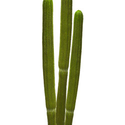 Cactii- Column Cactus triple-trunk 1.5m - artificial plants, flowers & trees - image 7