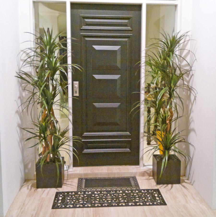 Dracaena- mini-yucca 1.8m with 8 heads