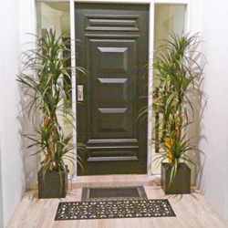 Dracaena- mini-yucca 1.8m with 8 heads - artificial plants, flowers & trees - image 3