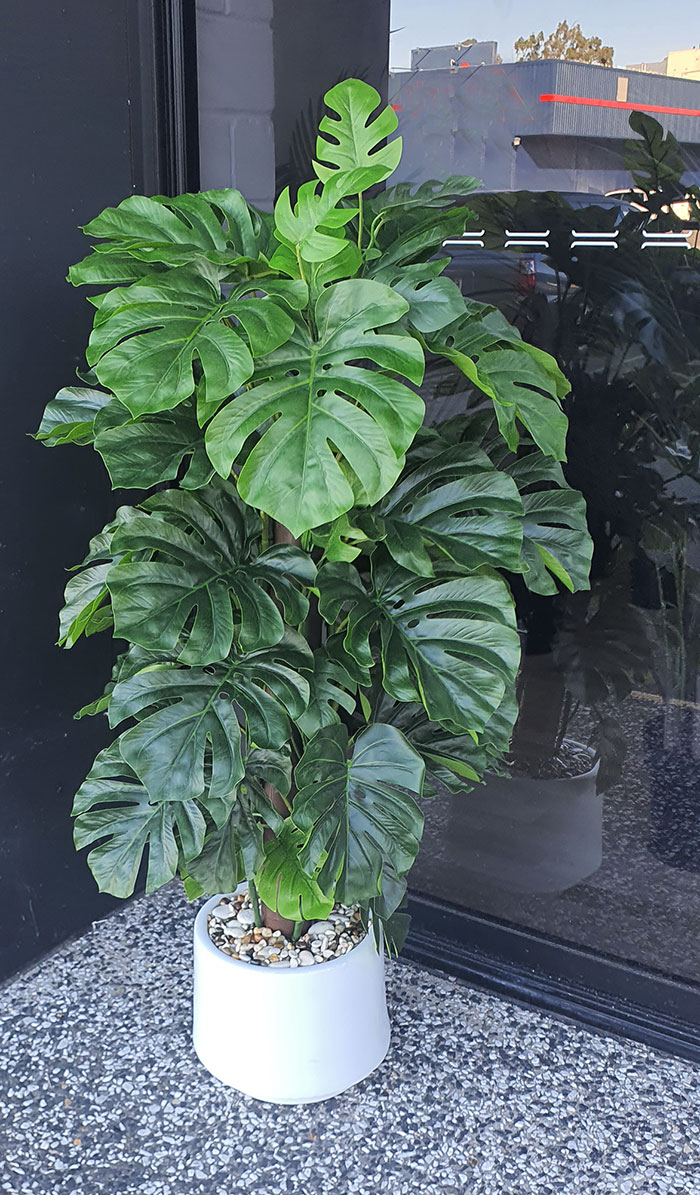Monsterio UV-treated 1.5m