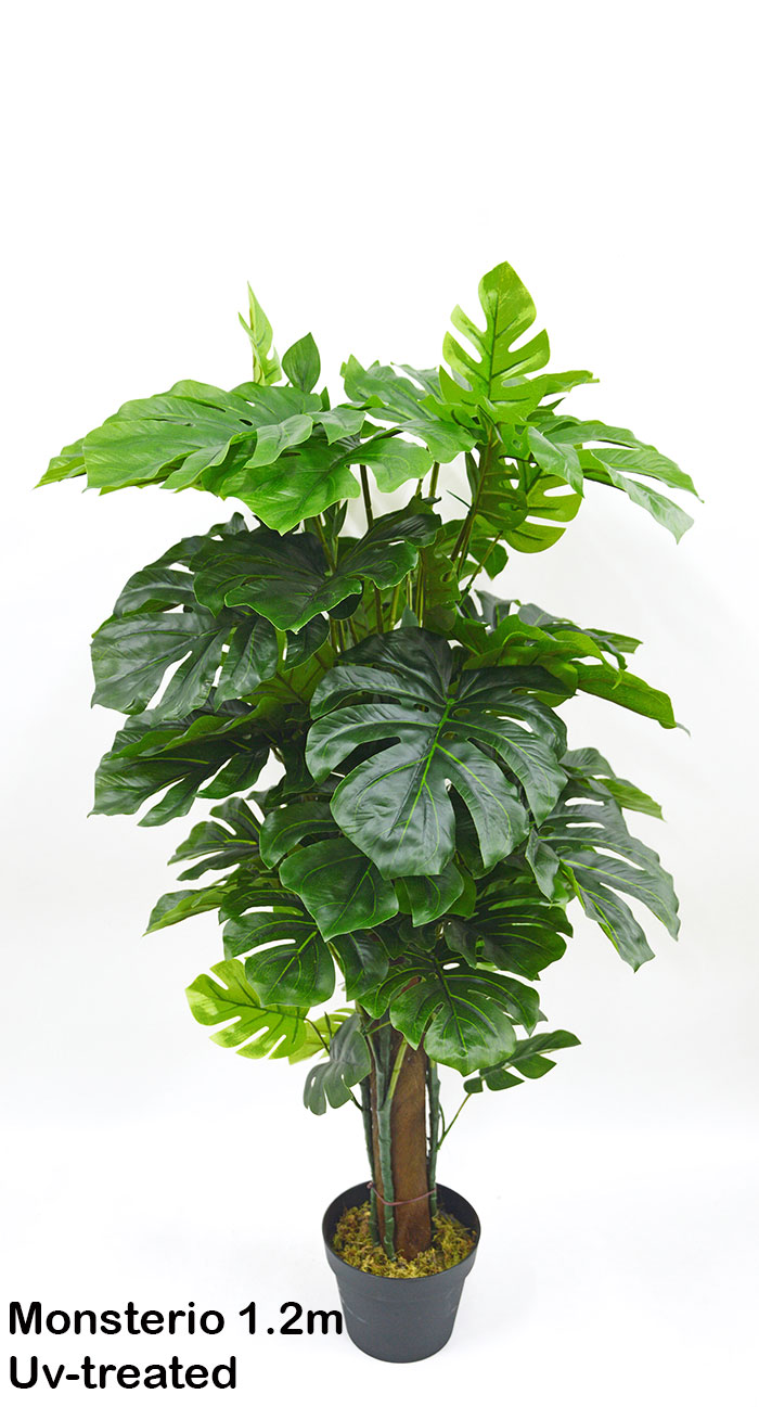 Monsterio UV-treated 1.5m