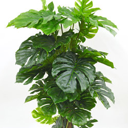 Monsterio UV-treated 1.5m - artificial plants, flowers & trees - image 6