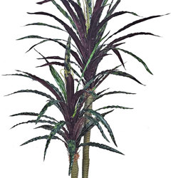 Yucca 'shiraz' Plant 1.6m double - artificial plants, flowers & trees - image 2
