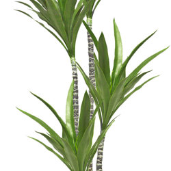 Yucca Tree- 1.8m with 4 heads - artificial plants, flowers & trees - image 2