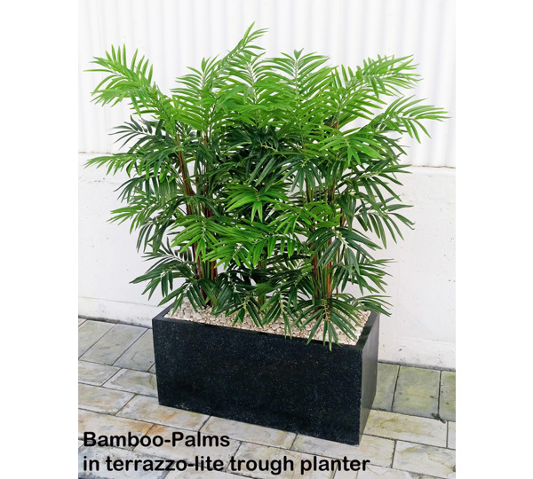 Trough Planters- with Bamboo-Palms 1.3m tall