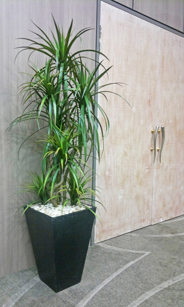 Planter re-furb @ Football Club image 8