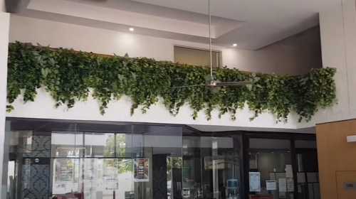 Easy way to add greenery to a bare wall resort foyer gets a 'green hello'