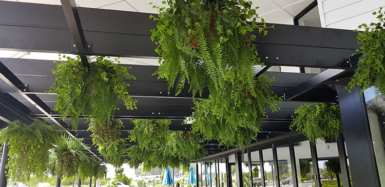 Hanging-Baskets transform new Tavern balcony from drab to cool green... image 5