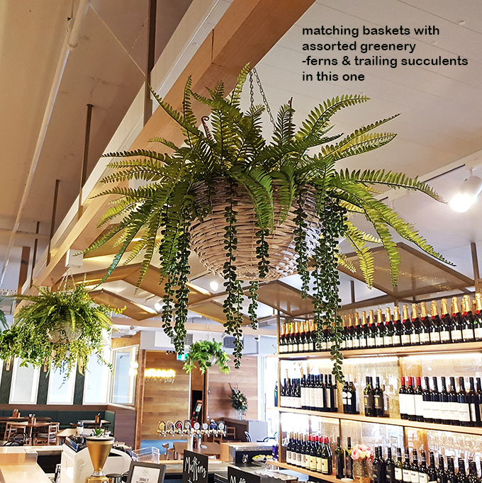 Modern Bar refurbishment & 'greenification'! image 3