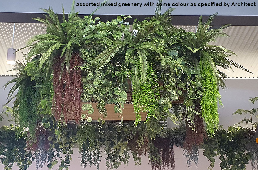 New Shopping Precinct's effective use of overhead Greenery... image 6