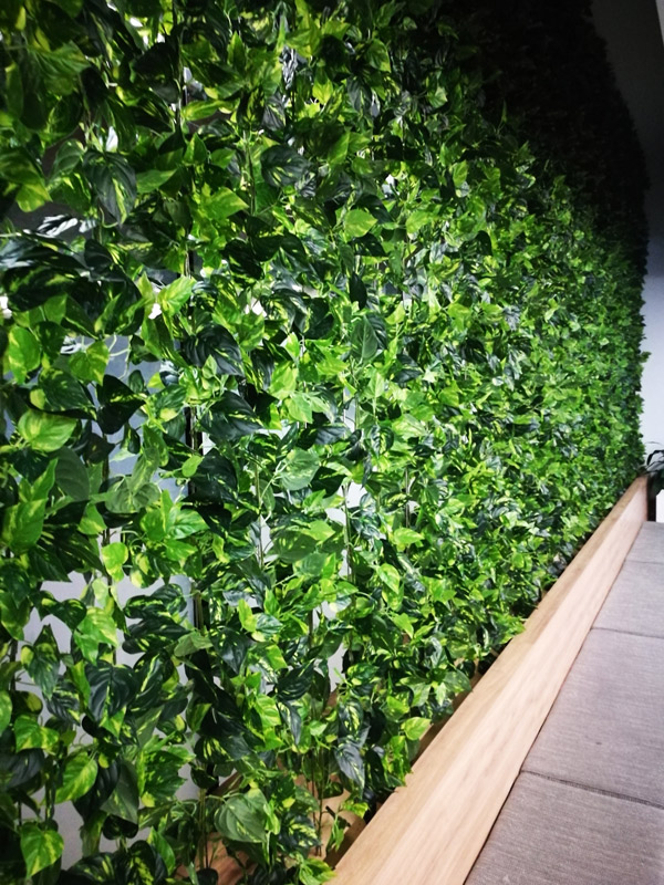 Climbing Vines in Office Foyer image 2