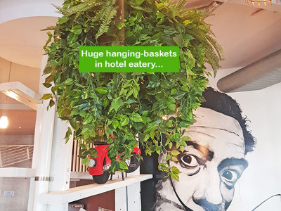 Huge Hanging-Baskets add cosy green feel to Hotel Eatery...