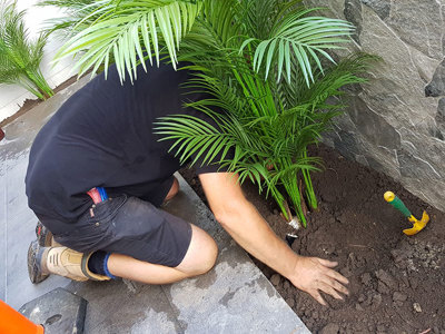 Planting artificial plants straight into the garden outdoors!!!