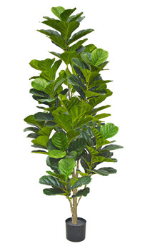 Fiddle-Leaf Ficus 1.9m dlx