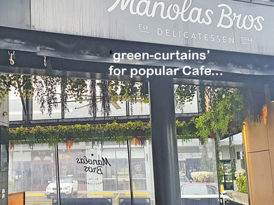 Breezy 'green-curtain' for popular Cafe...