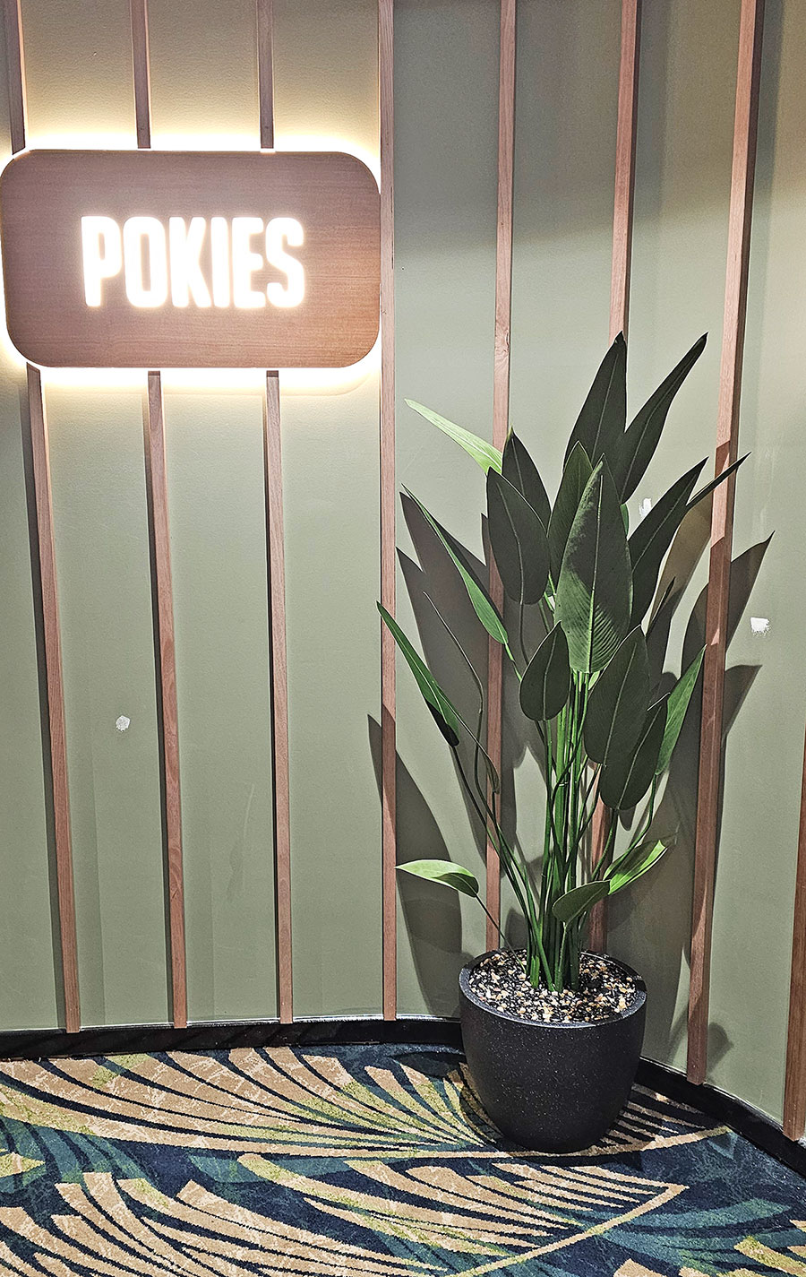 Bird of Paradise Plant 1.4m