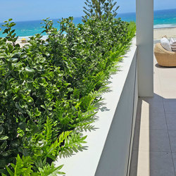 UV-Bush Lucky Jade 85cm dbl-planted - artificial plants, flowers & trees - image 7