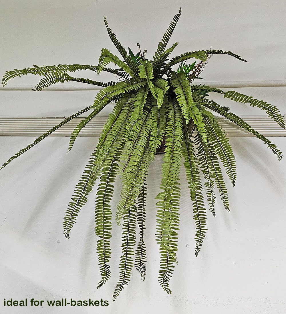 Fish-bone Fern- large UV