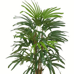 Rhapis Palms 1.3m - artificial plants, flowers & trees - image 7