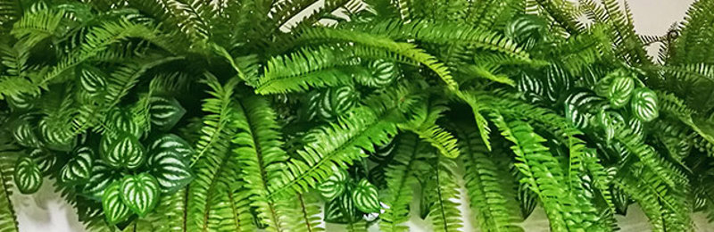 Buy Artificial Plants, Flowers & Trees here in our online shop for Homes & Offices