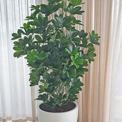 Mini-Umbrella Plant 1.2m - artificial plants, flowers & trees - image 4