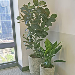 Magnolia  'little gem' 1.6m deluxe - artificial plants, flowers & trees - image 2