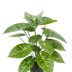 Anthurium 'white-tiger' - artificial plants, flowers & trees - image 3