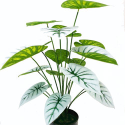 Anthurium 'white-tiger' - artificial plants, flowers & trees - image 4