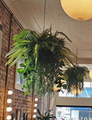 Artificial Hanging Plants / Wall Baskets