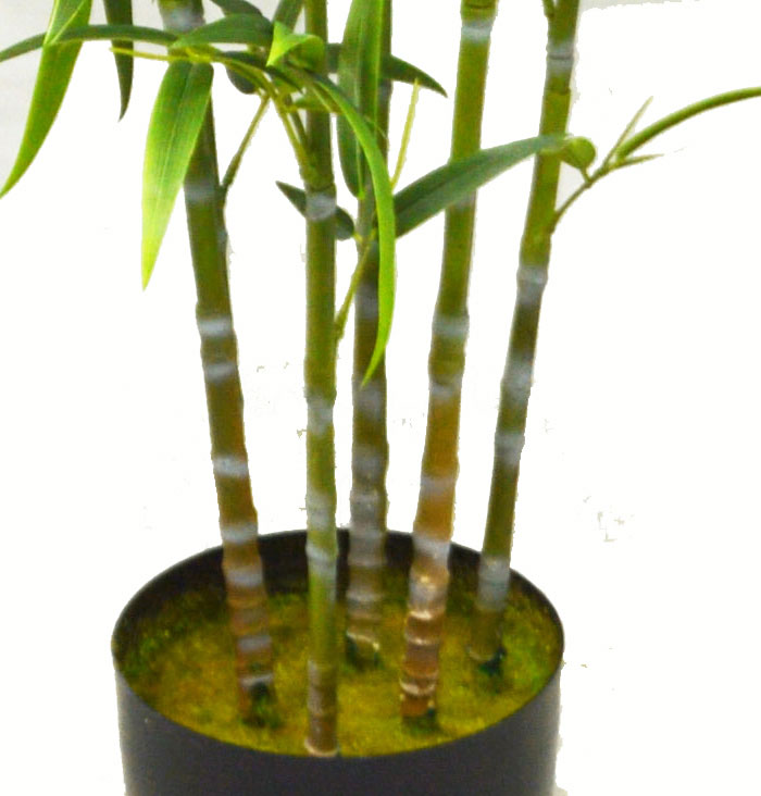 Bali Bamboo 1.8m