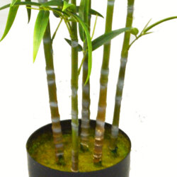 Bali Bamboo 1.8m - artificial plants, flowers & trees - image 1