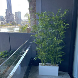 Bamboo UV-treated 1.6m - artificial plants, flowers & trees - image 1