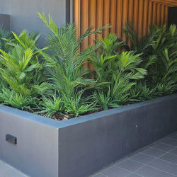 Alexander Palm 1.6m UV-treated - artificial plants, flowers & trees - image 8
