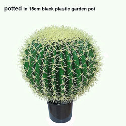 Cactii- Barrel Cactus- lge - artificial plants, flowers & trees - image 7