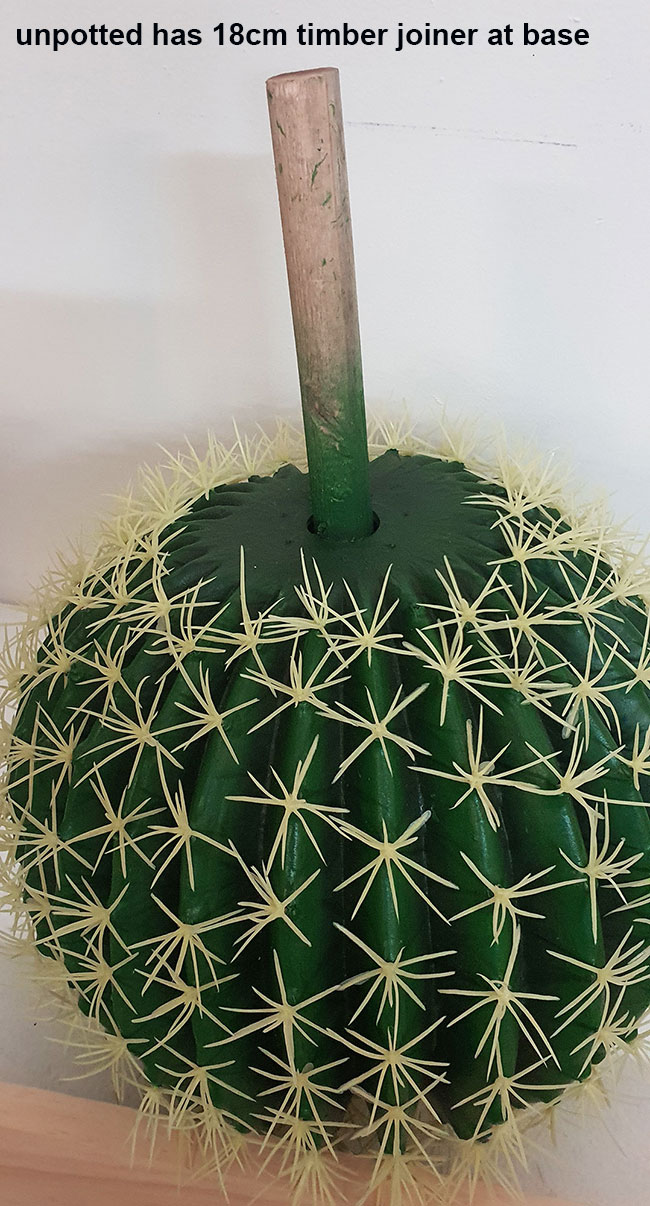 Cactii- Barrel Cactus- lge
