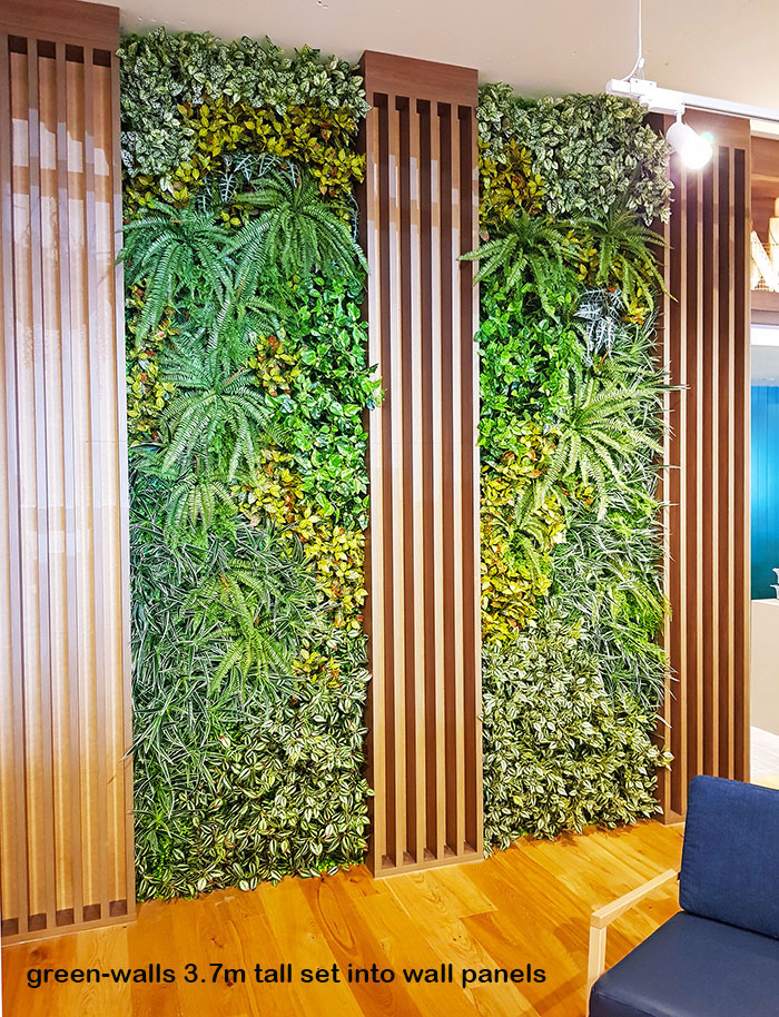 Before & After Shots..... Green-Walls 2