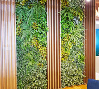 Before & After Shots..... Green-Walls 2