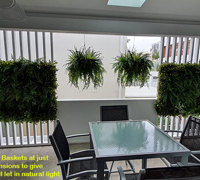 Bella's new private Green-Room...