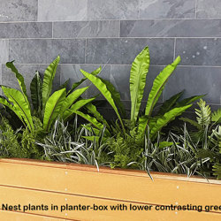 Bird's Nest Fern 90cm - artificial plants, flowers & trees - image 2