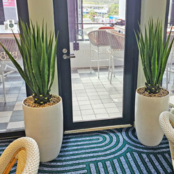 Yucca- variegated 1m - artificial plants, flowers & trees - image 4