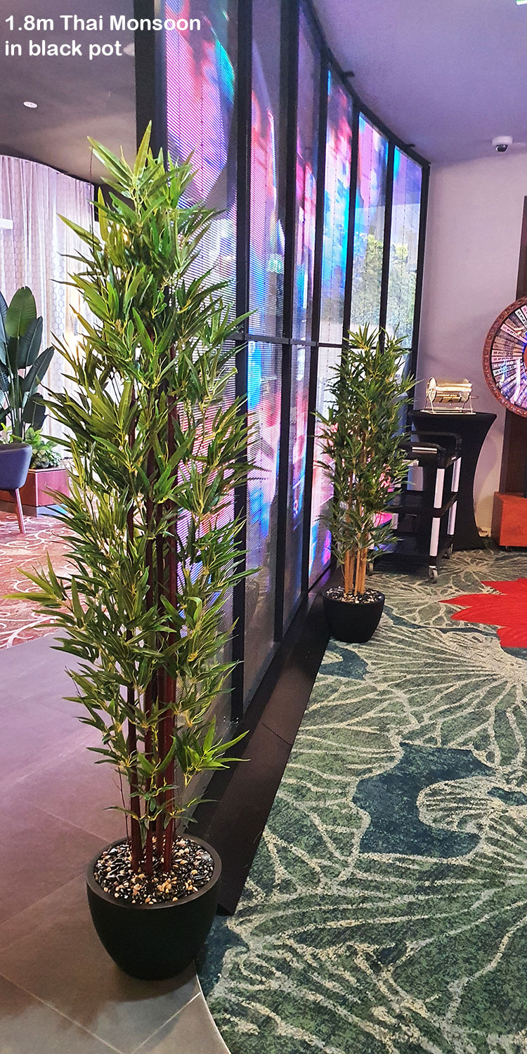 Bamboo 'thai monsoon' 1.8m