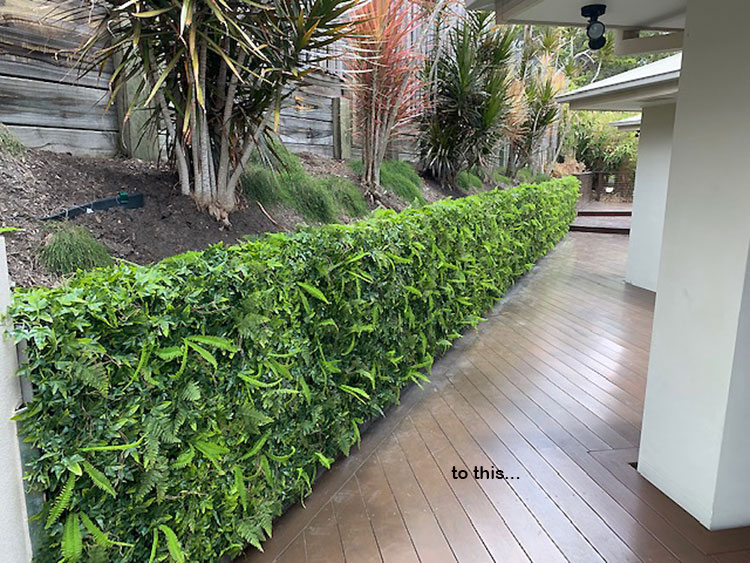 Wall-Panels Ivy/Fern UV panel x4 [approx 1m2]